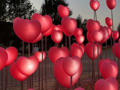 -西涌国际滨海旅游区