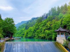 -后柳水乡