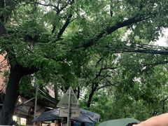 -马文章胖子甑糕(洒金桥店)