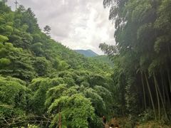 -藏龙百瀑风景区