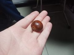 -秋栗香(地安门店)