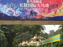 -广州长隆国际大马戏