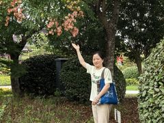 -狼山风景名胜区