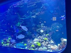 -欢乐海岸海洋奇梦馆