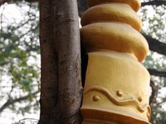 -瑞丽独树成林风景区