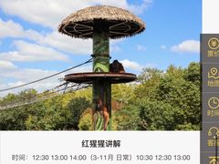 -上海野生动物园