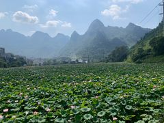 -长寿村