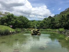 池塘-瑞穗牧场