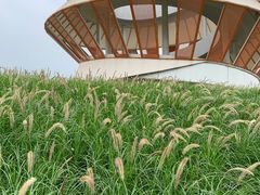 -光明小镇欢乐田园