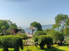 -铁山坪森林公园