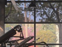-加伍磅精英训练中心