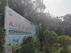 -天下先生态园农庄CS团建露营地(海鸥岛店)