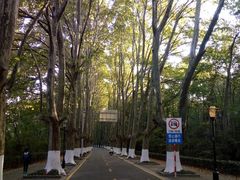 -钟山体育运动公园