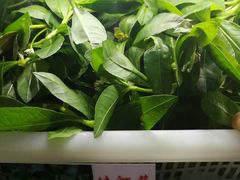 -黔府豆米火锅野菜馆(南马店)