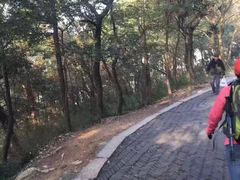 -灵岩山风景区