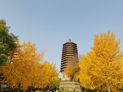 -玲珑塔公园