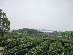 -西湖风景区十里琅珰-五云山