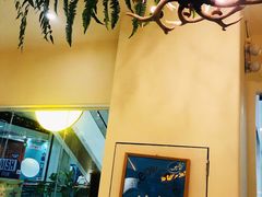 -猫域·湾主题猫咖·宠物吧(南坪城市广场店)