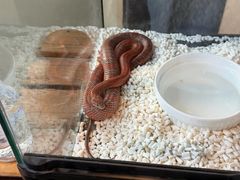 -春晖园度假酒店温泉