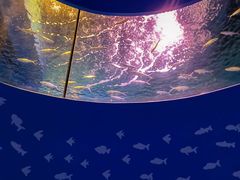 -南昌融创海世界