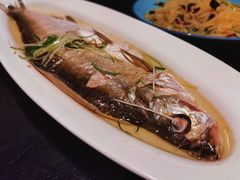 清蒸太湖野生大白鱼-梅飞酒家(名辉豪庭店)