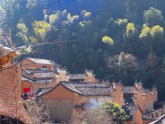 -杨家堂村