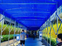 -南方医科大学深圳医院