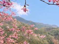 -明月山风景名胜区