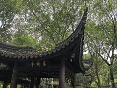 -上海佘山国家森林公园天马山园