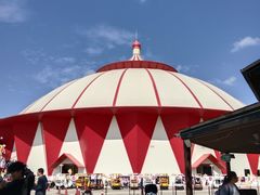 -上海野生动物园老虎餐厅