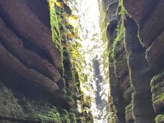 -梭布垭石林景区