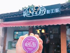-狐狸家·酸奶酪专门店(平江路店)