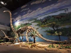 -自贡恐龙博物馆