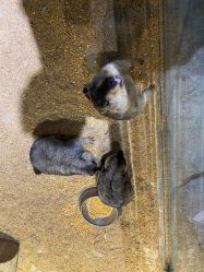 -酷嗒动物文化乐园(cutezoo西溪乐天城店)