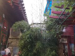 -顺承小院儿