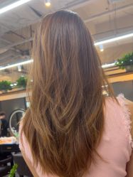 点击看大图 -藤野造型