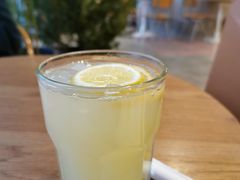 初恋柠檬-FUNK & KALE BY WAGAS(长宁尚嘉)