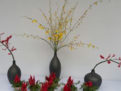 -重庆市江北嘴中央商务区中央公园