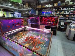 -双季花艺园艺市场(浦东店)