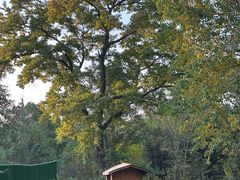 -方山风景区定林寺