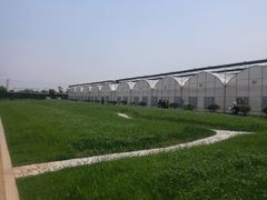 -上膳源有机蔬菜(三泉路店)