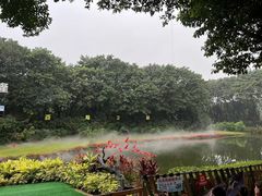 -广州长隆飞鸟乐园