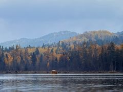 -五营红松林海景区