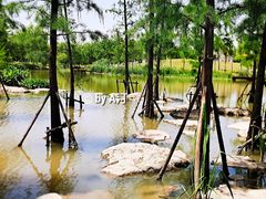 -上海长兴岛郊野公园