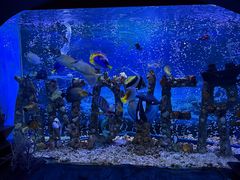 -太平洋海底世界