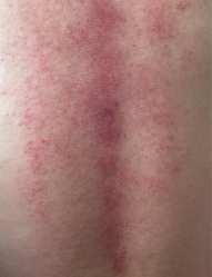-健身堂科技美肌SPA
