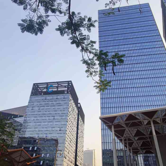 科兴科学园-"科兴科学园一楼的原味街简直就是科技园上班.