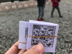 -大冬树山垭口