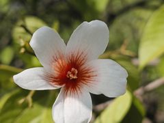 -舒家湾天主教堂