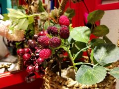 -烛影拾光观景餐厅·创意菜·摄影·小提琴(大唐不夜城店)